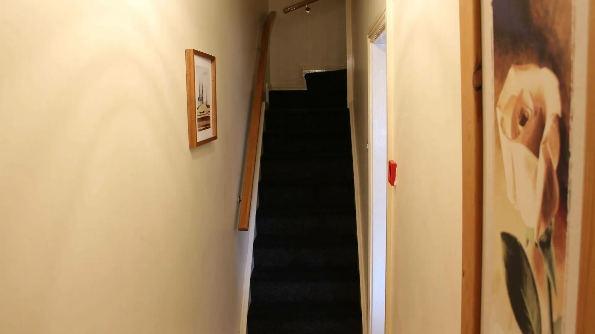 Spanish Arch Apartments Galway